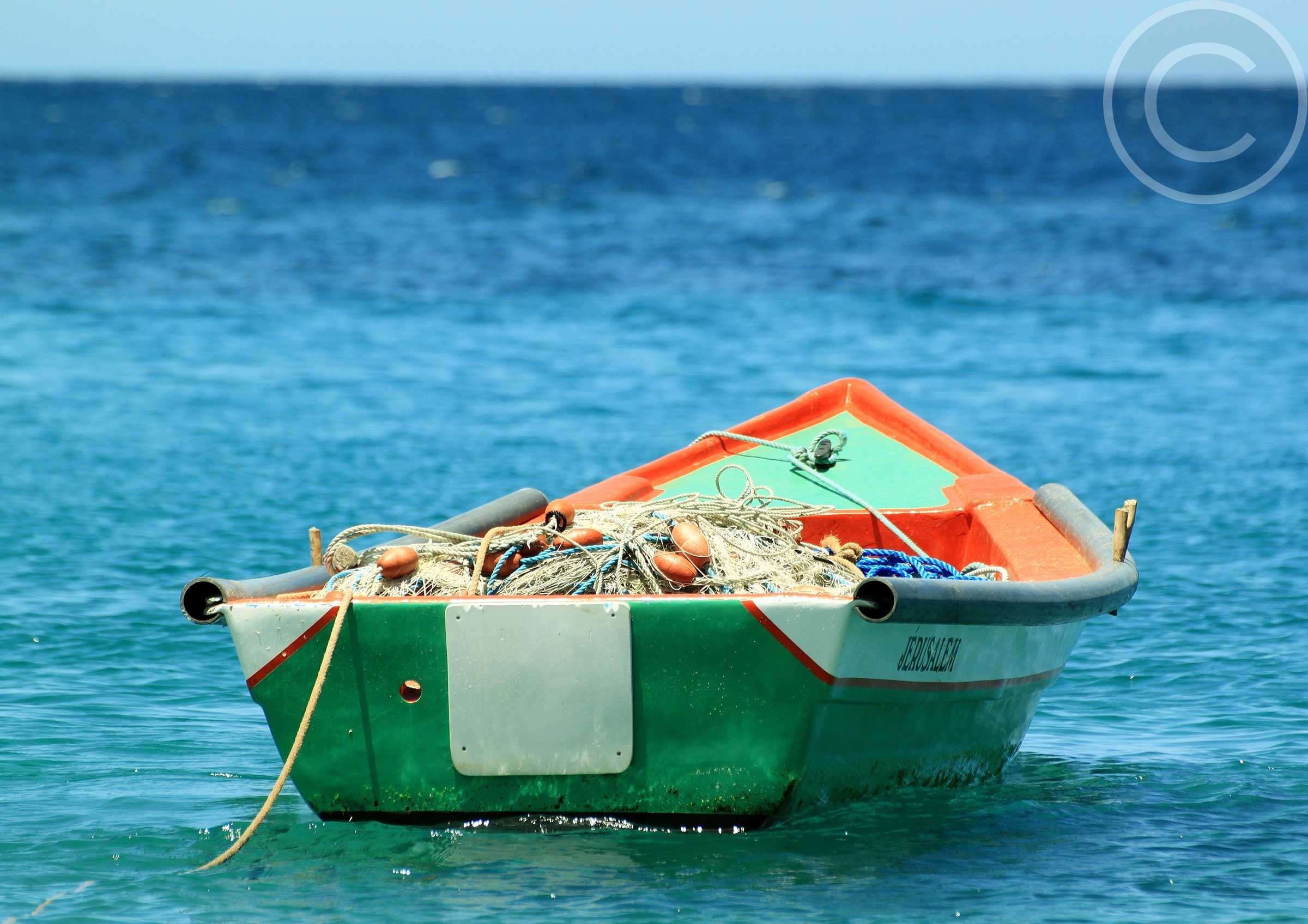 Avoiding Overfishing: Biologists Warn Fishermen